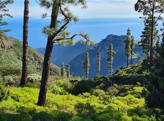 Mini 35 Qm Pensjonat Valle Gran Rey